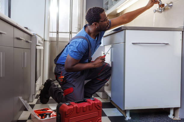 Best Local Plumber Services  in Windsor, NC